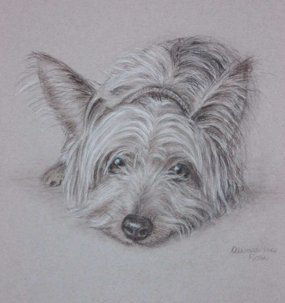 dog portrait drawing, black and white portrait, sepai and charcoal dog portrait