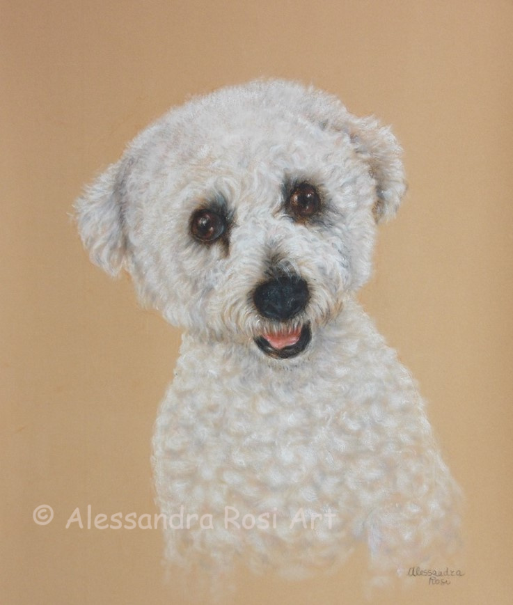 white dog painting, dog portrait commission in oil pastels
