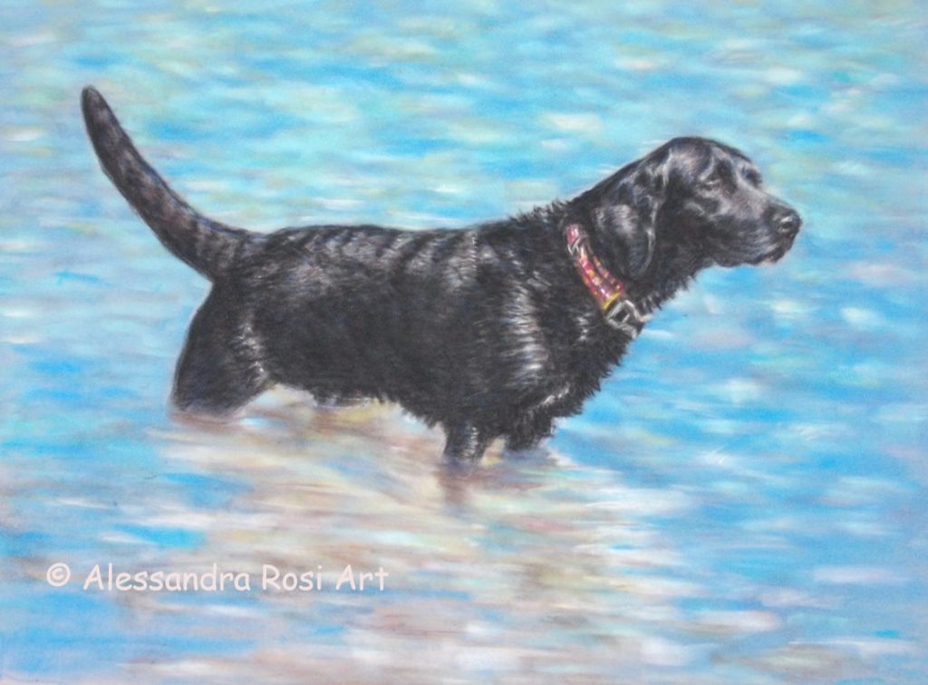 Black lab dog portrait, pet portrait painting in pastels,  with full background, black lab in water