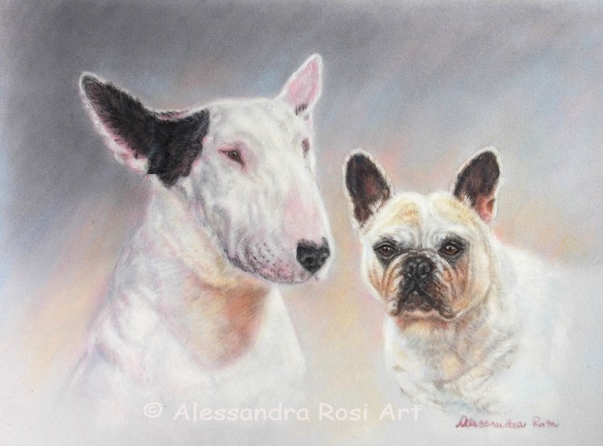 pastel portrait of a bull terrier and a carlino dog in pastels