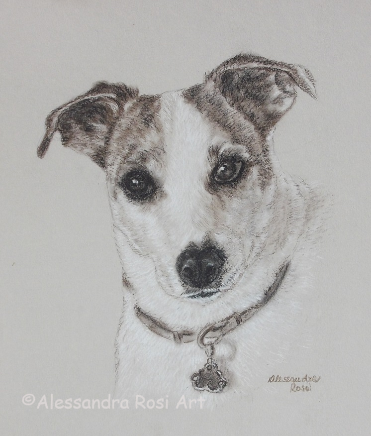 dog portrait drawing, monochrome portrait, petp ortrait commisison