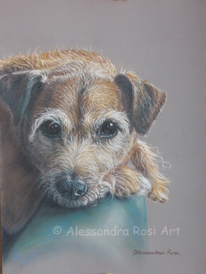 dog portrait painting, pastel pet portrait, realistic dog painting