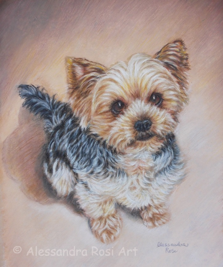 pastel portrait of a dog, realistic pet portrait in soft pastels