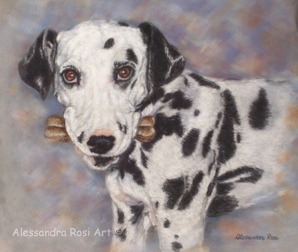 dalmatian portrait painting, dog portrait commission