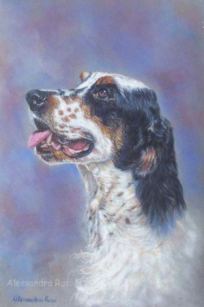 setter dog portrait painting in pastels