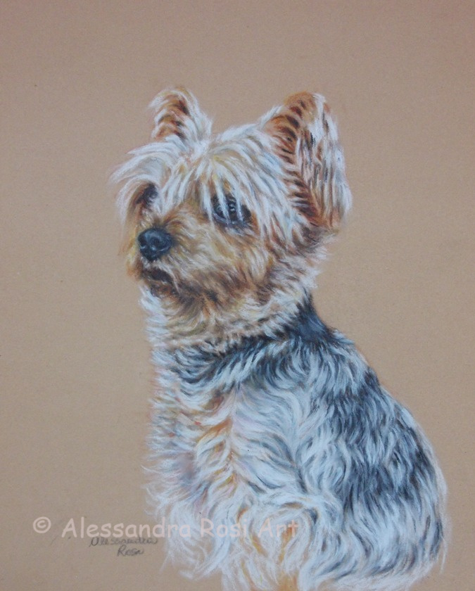 pet portraits in oil pastels, dog painting, sample dog portrait commission