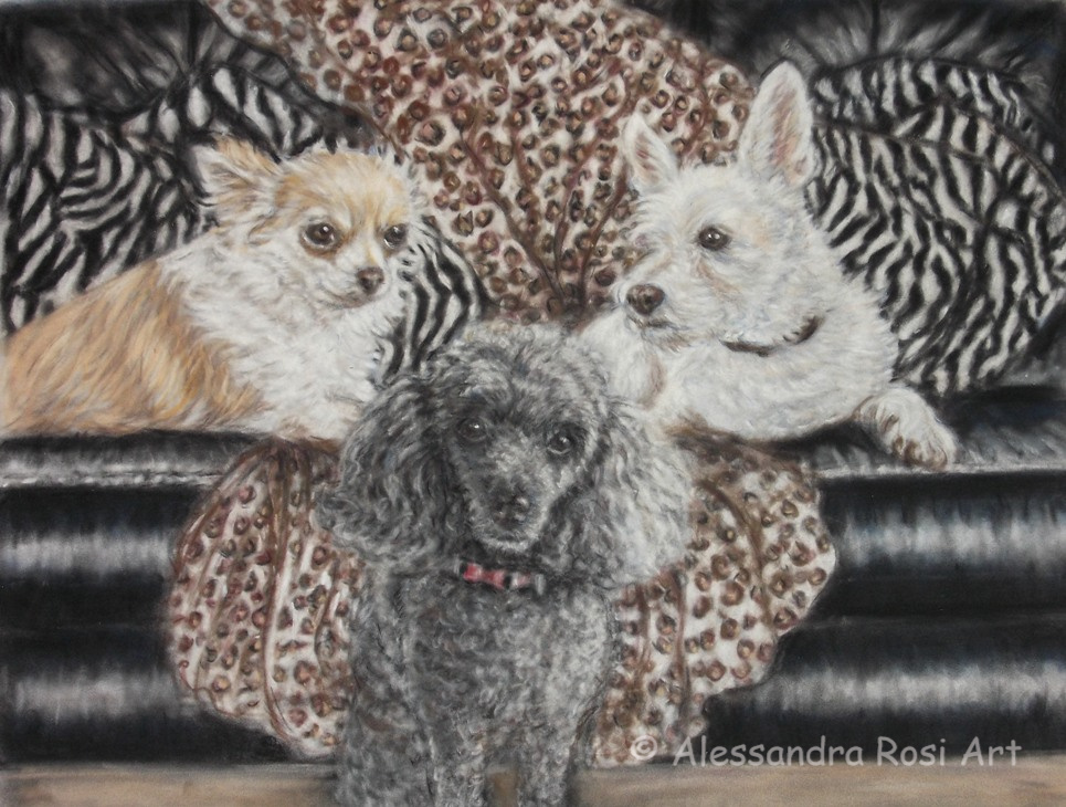dogs portrait painting, group portrait painted in pastels