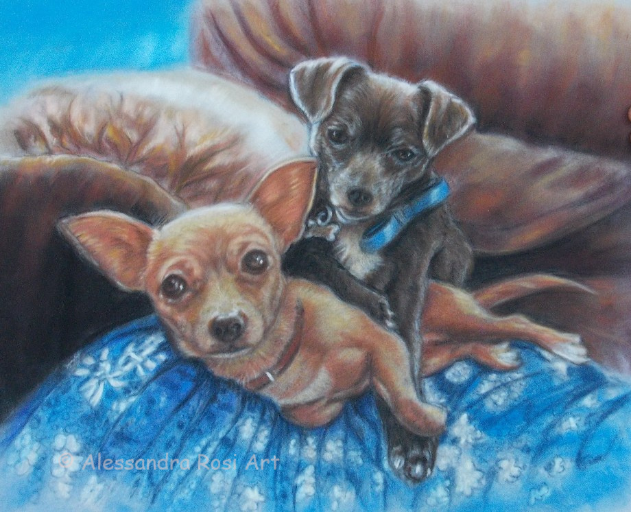 Chihuahua dog painting, pet portrait commission in pastels