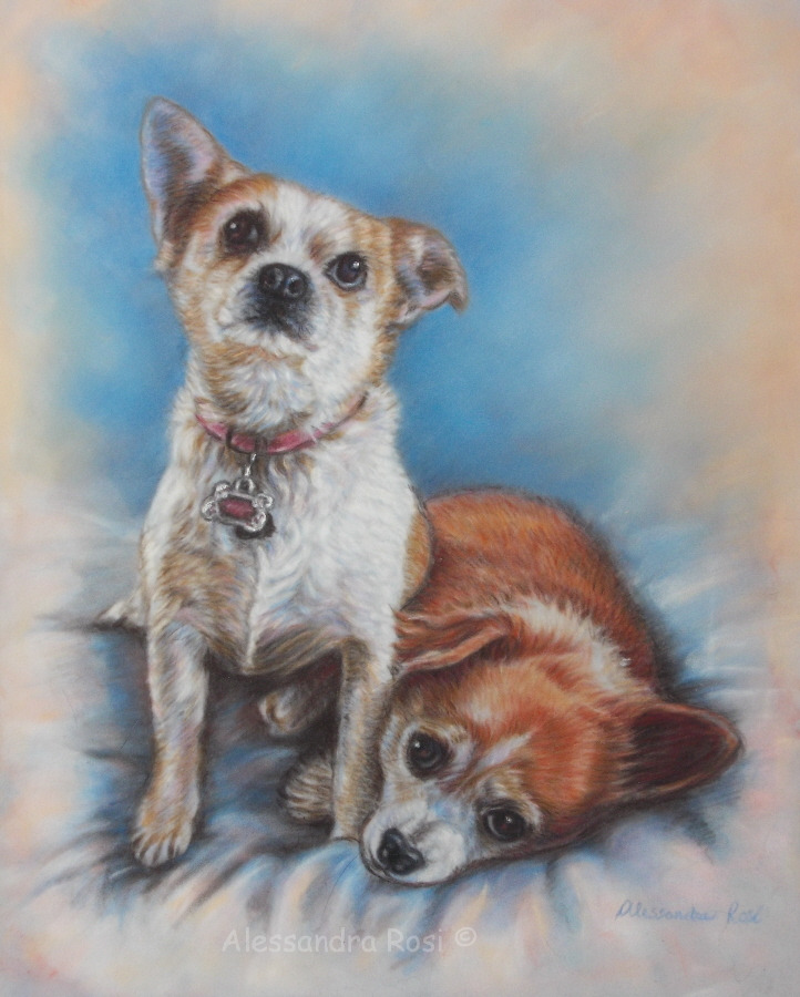 pet portrait commission, dog portrait painting, pastel portrait of two dogs