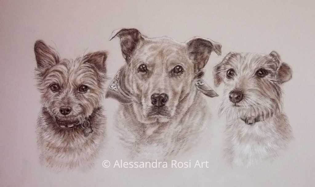 Sepia pencils and charcoal pet portrait drawing, group dogs portrait 