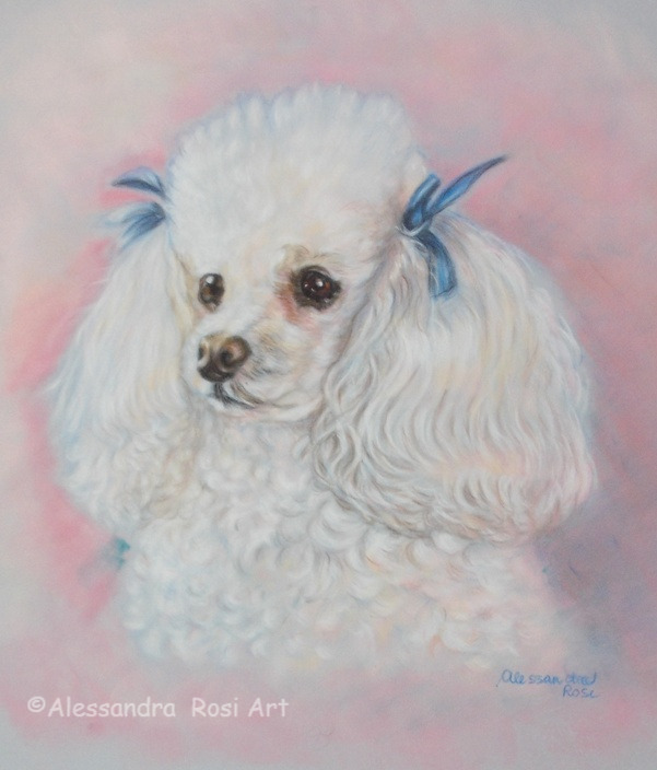 dog portrait painting, white poodle portrait in pastels