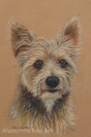 Pet Portraits commissions from photo