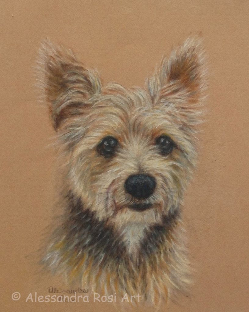 dog portrait in oil pastels, realistic pet portrait, dog portrait painting traditionaly handpainted