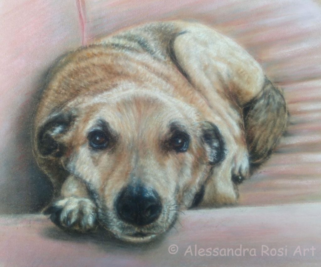 dog portrait painting, petp ortrait artist, dog laying on a sofa painting, oil pastels portriat