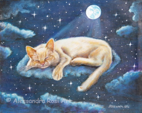 cat sleeping painting, art licensing painting, cat lovers art, children's illustrations art